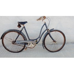 Bicicleta gris 53/65