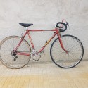 Bicicleta Pyrenea T49