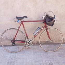 Bicicleta Carlos