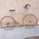 Bicicleta Belfo