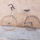 Bicicleta Belfo