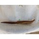 Cuchillo Pallares