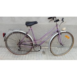 Bicicleta Luson Bobet lila