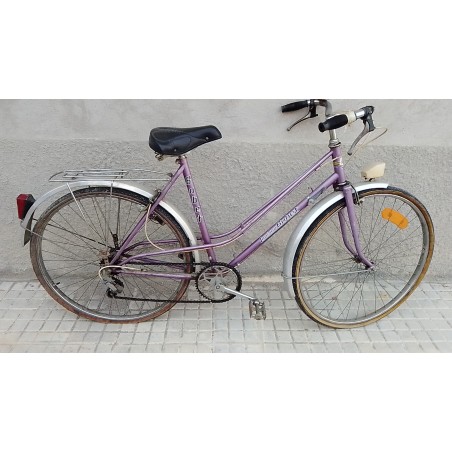 Bicicleta Luson Bobet lila