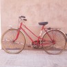 Bicicleta Elium Peugeot T53/56
