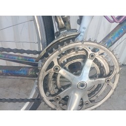 Bicicleta Clásica CAMPAGNOLO T55
